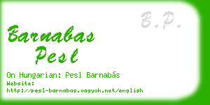 barnabas pesl business card